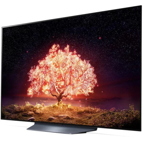 Телевизор LG OLED65B1RLA